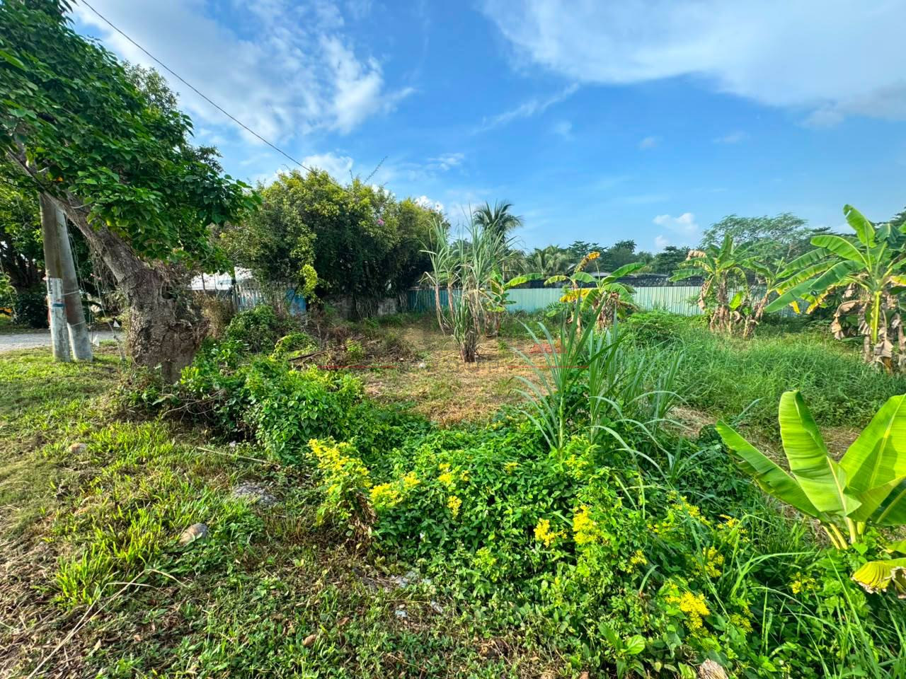 JALAN TANJUNG PUTUS (GERAN INDIVIDU) 📍 | OPEN FACING | TANAH BANGUNAN | CASHBACK RM35,000 | ZERO DEPOSIT | BOOKING 1K 9