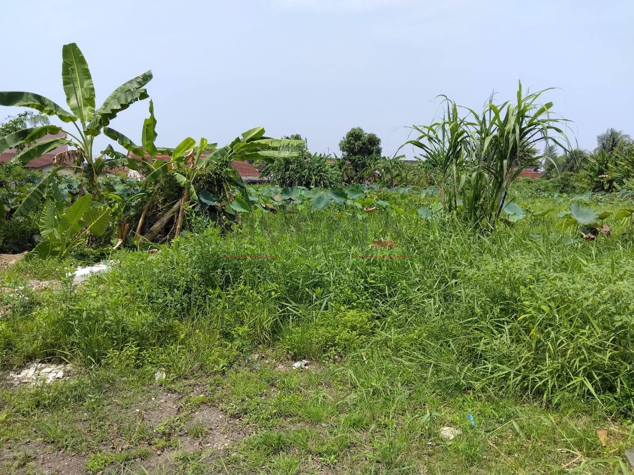 TANAH LOT TAMAN SERINDIT 📍 | TANAH BANGUNAN | CASHBACK RM15,000 | ZERO DEPOSIT | BOOKING 1K 2