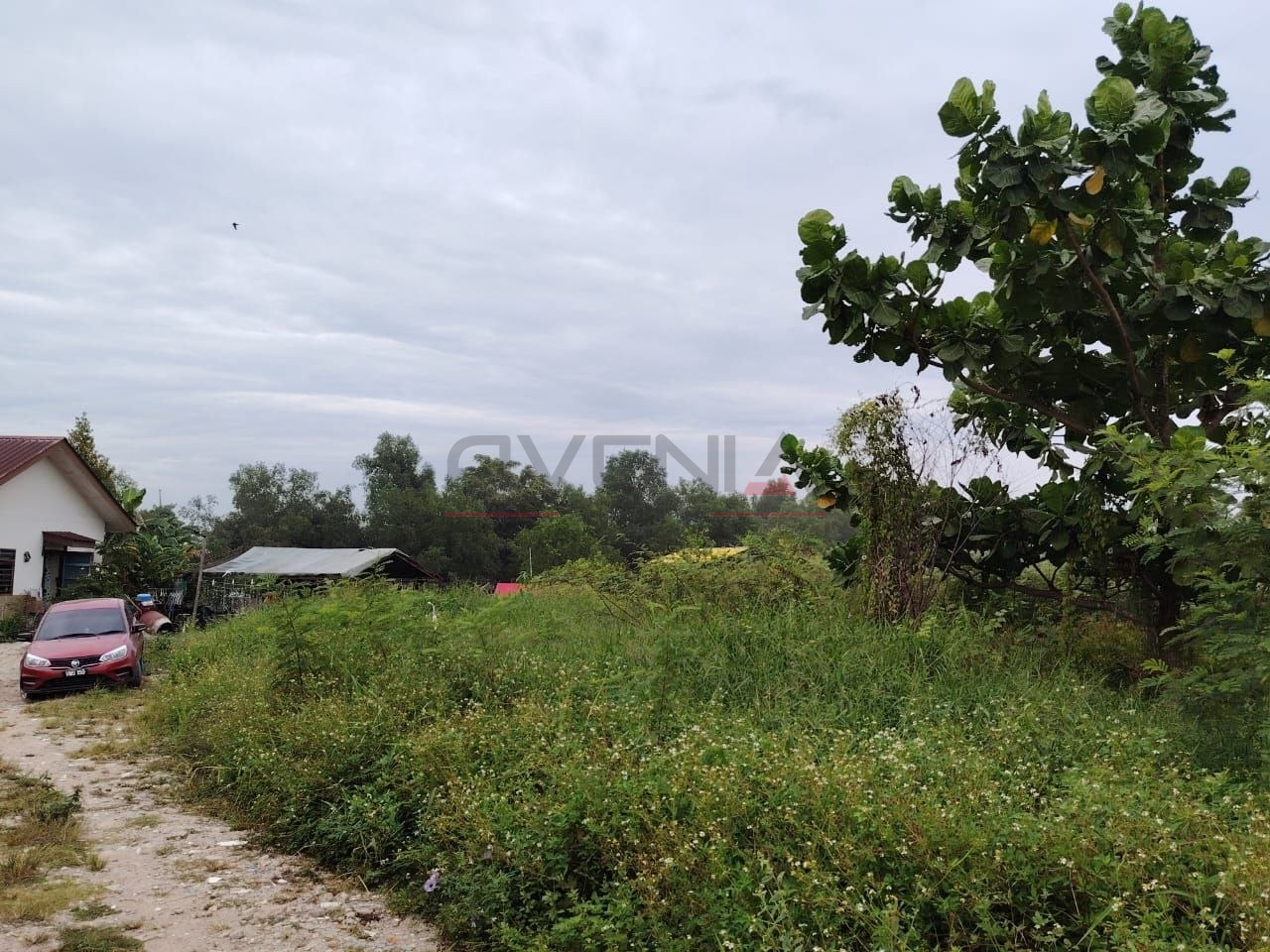 TANAH KOT KEDIAMAN SUNGAI DUA 📍 | TANAH BANGUNAN | CASHBACK RM14,000 | ZERO DEPOSIT | BOOKING 1K 3