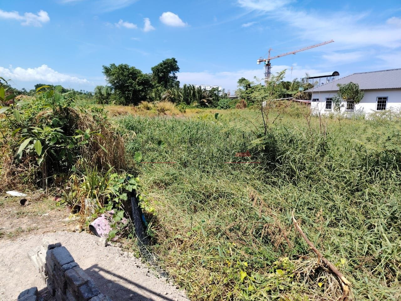 TANAH KOT KEDIAMAN SUNGAI DUA 📍 | TANAH BANGUNAN | CASHBACK RM14,000 | ZERO DEPOSIT | BOOKING 1K 5
