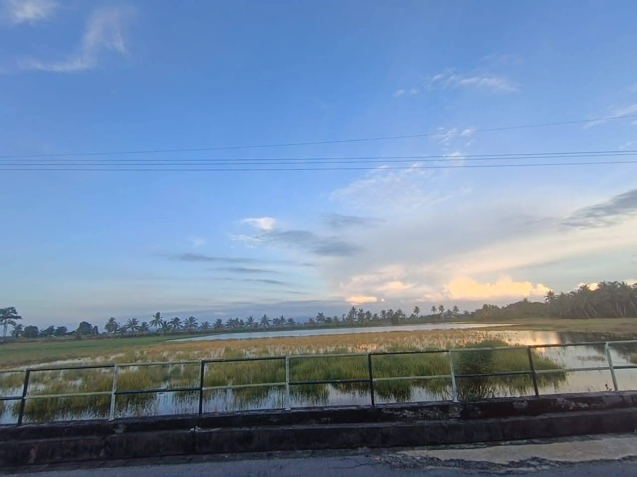TAMAN KOTA SARANG SEMUT FASA 2 📍 | OPEN FACING | TERES SETINGKAT | CASHBACK RM30,000 | ZERO DEPOSIT | BOOKING 1K 12