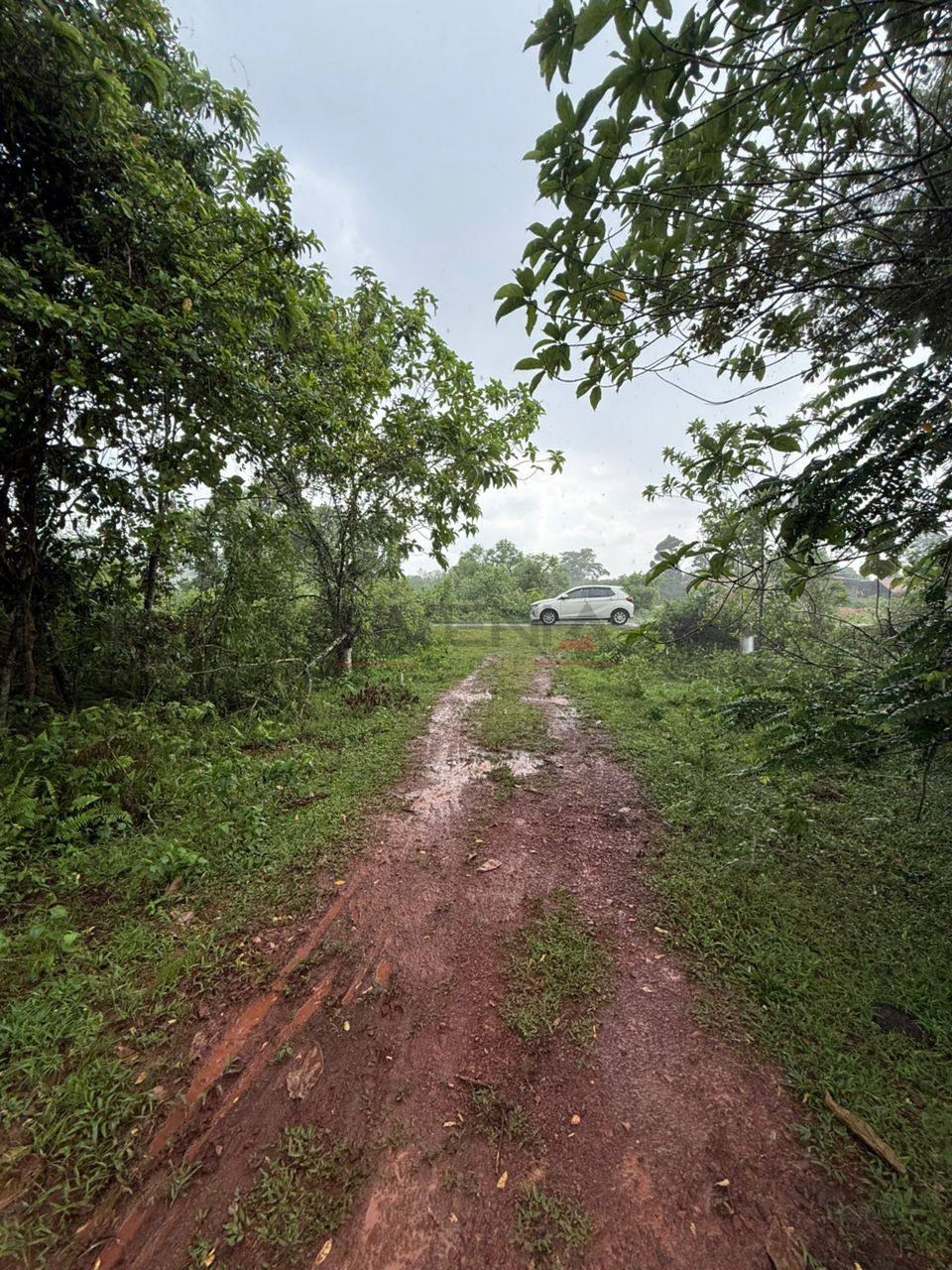 PADANG KULIM 📍 | TANAH PERTANIAN | BELOW MARKET VALUE RM60,000 3