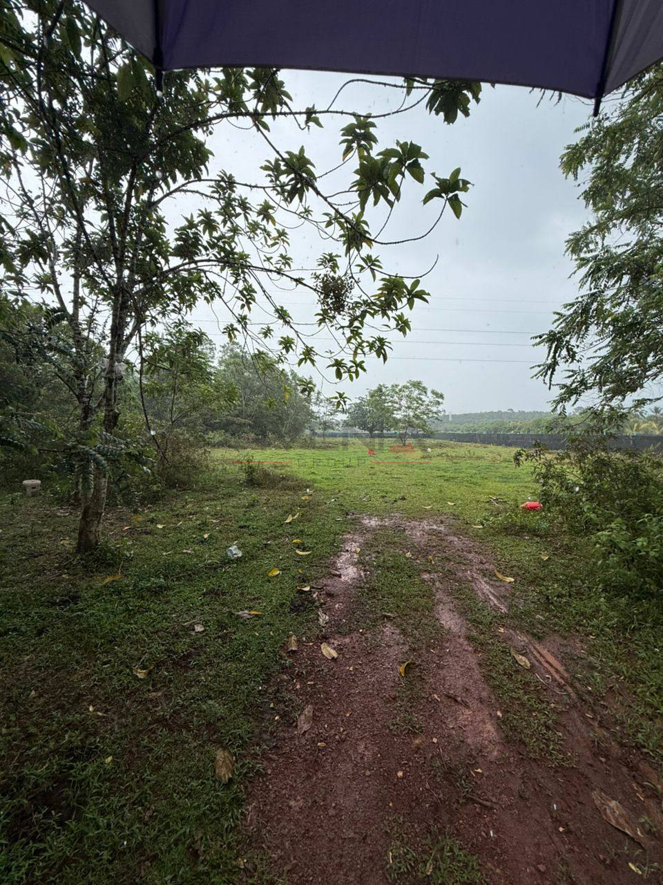 PADANG KULIM 📍 | TANAH PERTANIAN | BELOW MARKET VALUE RM60,000 4